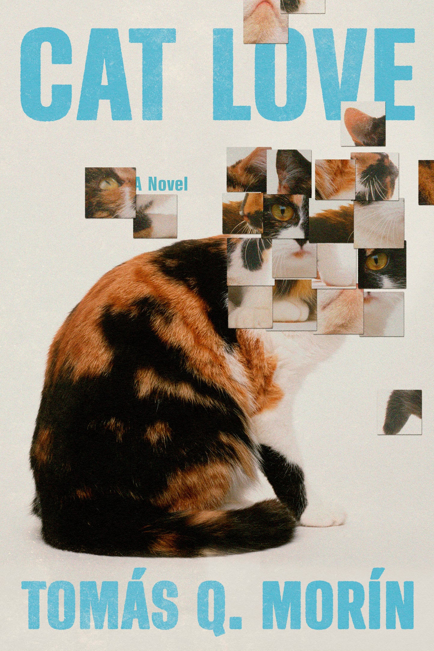 Cat Love